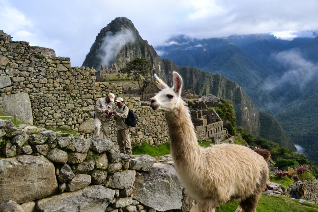 Machu Picchu-7