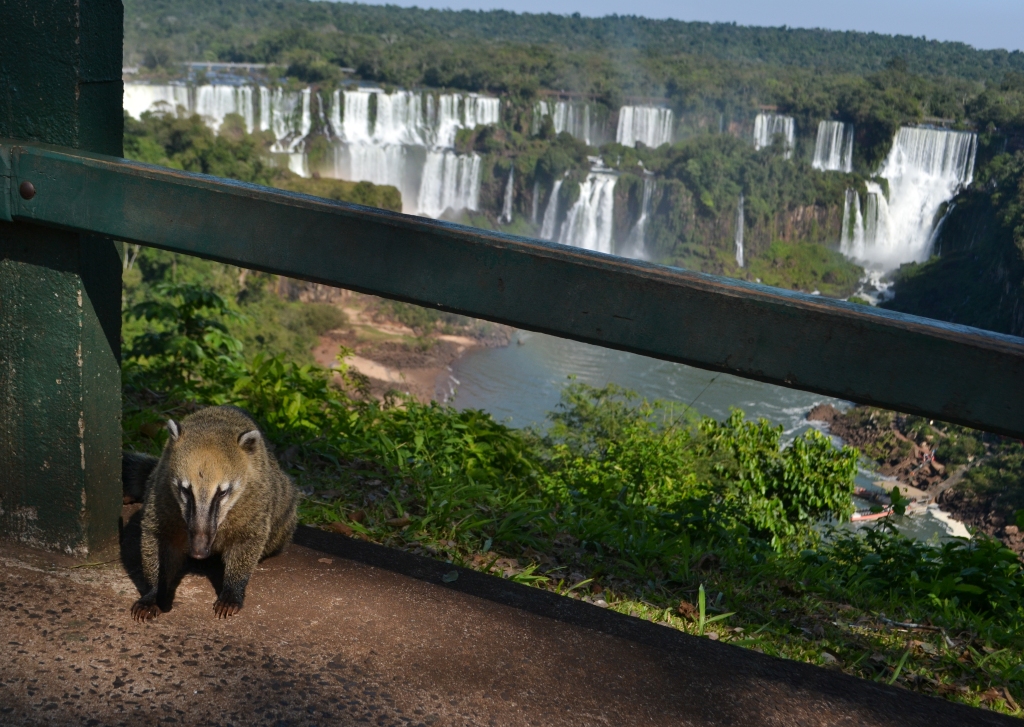 Iguazu Falls-35